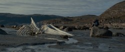 Shots from the movie Leviathan 
